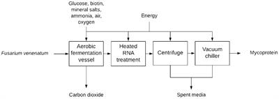 A techno-economic model of mycoprotein production: achieving price parity with beef protein